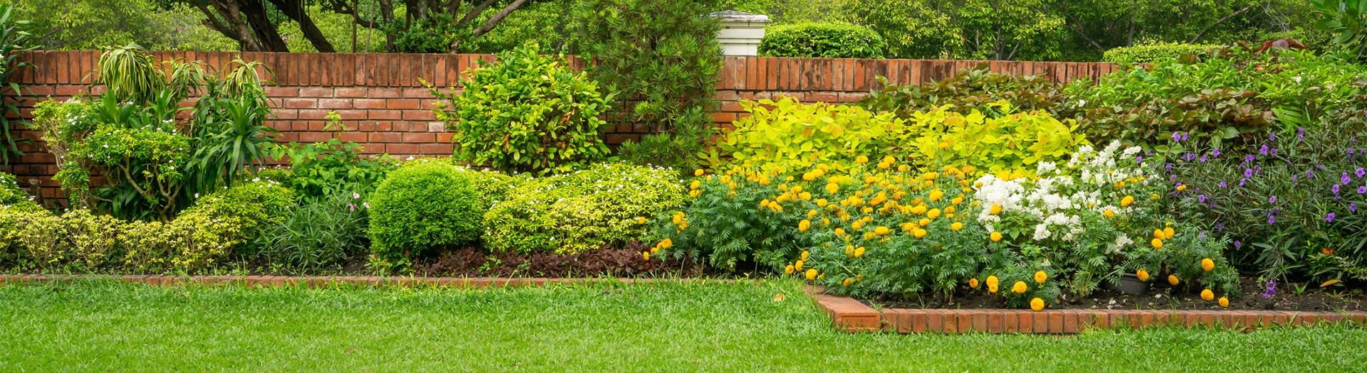 Green Waste Disposal Services