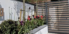 parkstone11_1