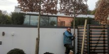 parkstone9_1