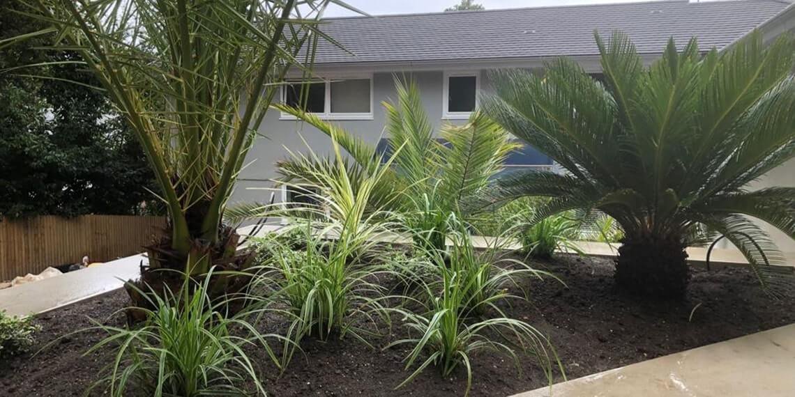 tropical-planting-min